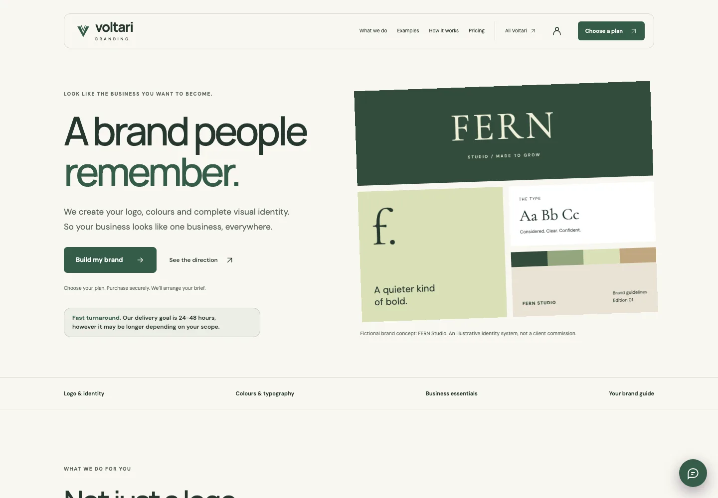 Voltari Branding actual website homepage snapshot